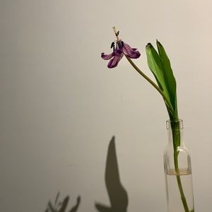 Meet your Posher, Carol